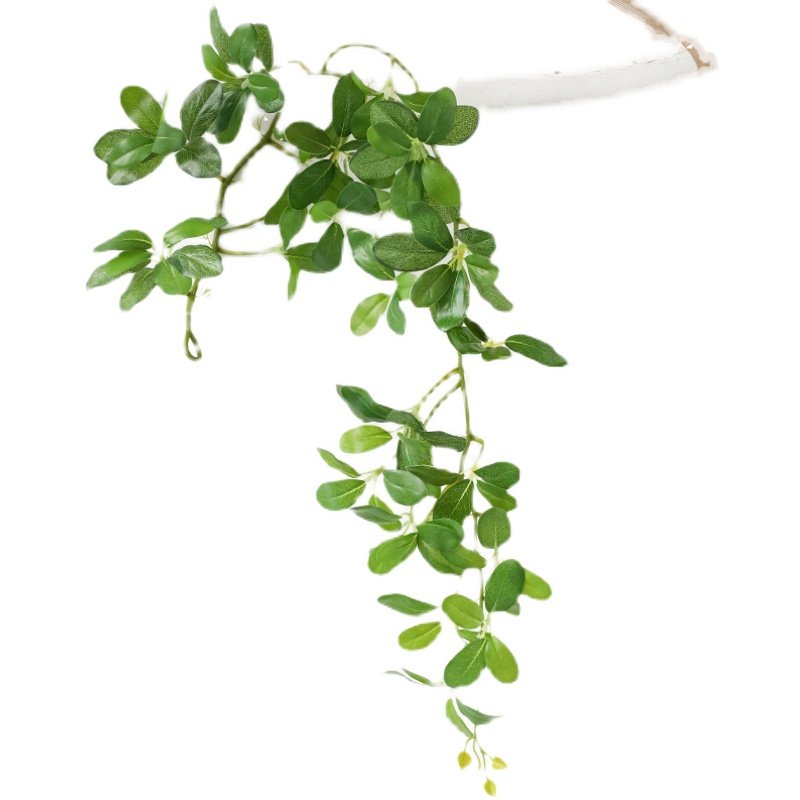 仿真藤条绿植树枝 ins风壁挂藤蔓遮挡空调水管假树叶吊顶装饰道具,淘宝优惠券,粉丝福利购,淘宝优惠卷