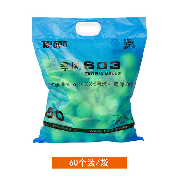 现货天龙网球801/603/rising复活/ACE 初学级专业训练比赛网球 - 图0