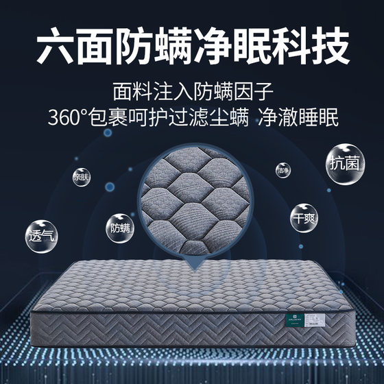 Yalanjia hard Dimengbao spine protection spring anti-mite mattress