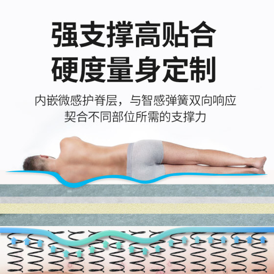 Yalanjia hard Dimengbao spine protection spring anti-mite mattress