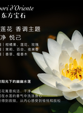 意大利原装进口东方宝石香氛香水型沐浴乳持久留香滋润保湿500ml