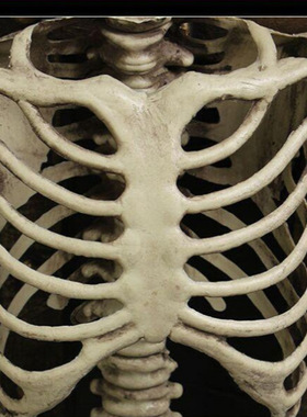 跨境新品骷髅道具摆件