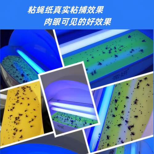 灭蝇灯纸粘捕式灭蚊灯粘蝇纸餐厅饭店用商铺诱捕蝇灯粘虫板沾蝇纸 - 图0