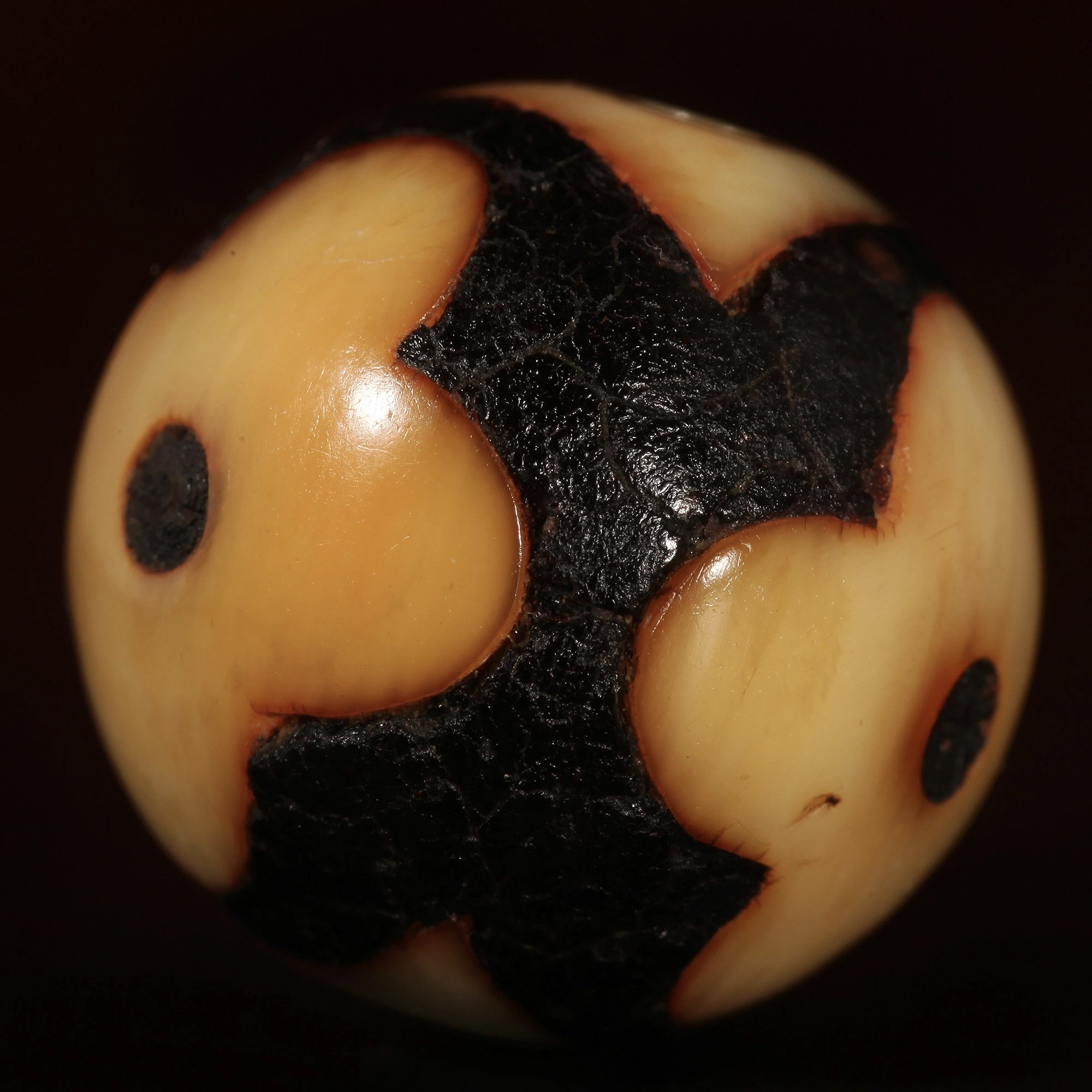 藏传西藏原装满收缩老灵骨圆珠15mm 镶嵌藏药多宝配珠单珠老珠938,淘宝优惠券,粉丝福利购,淘宝优惠卷