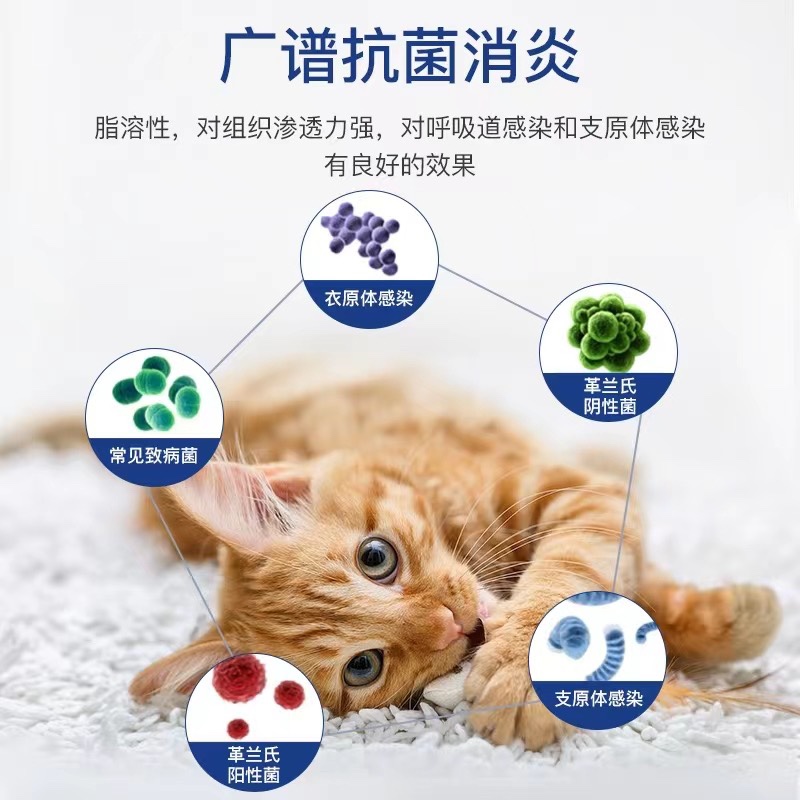 喵窝咳口服液狗狗感冒猫咪打喷嚏咳嗽猫鼻支治疗药干呕卡咳窝咳-图0