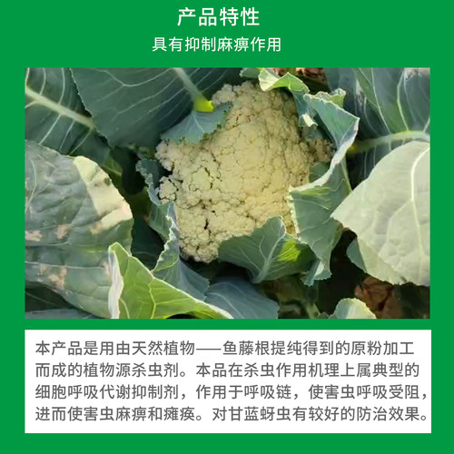 三浦柏杨鱼藤酮6% 甘蓝蔬菜蚜虫生物有机植物源农药 - 图1