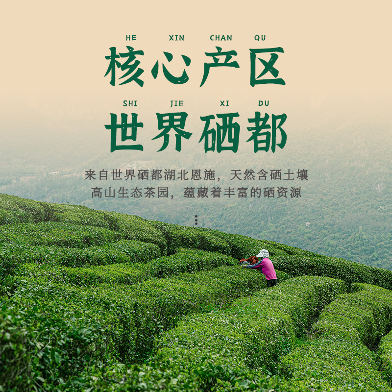 2024新茶湖北茶叶含硒茶恩施玉露蒸青绿茶高山明前特级160g礼盒装