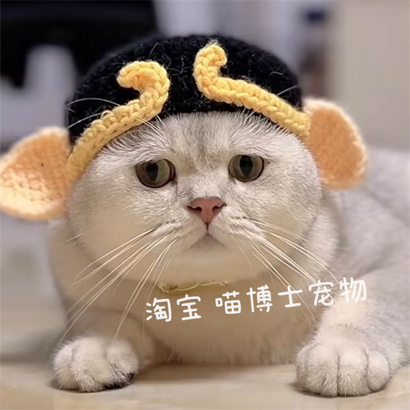 猪八戒宠物纯手工毛线针织猫咪帽子狗狗过年新年喜庆醒青蛙套头饰 - 图2