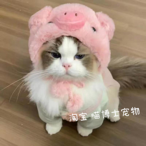 宠物狗狗比熊泰迪网红头套可爱变装小猪帽子猫咪可爱拍照头饰秋冬-图3