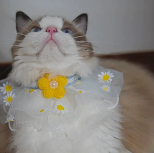 Кружевной слюнявчик, милый нагрудник для принцессы для приставной кровати, шерстяной чокер в форме цветка