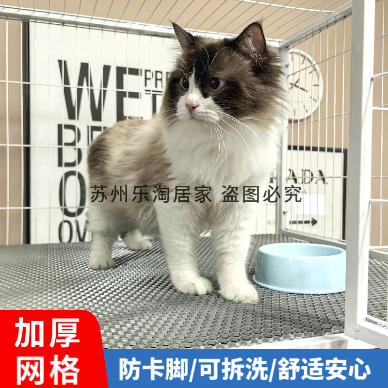 商品缩略图 1