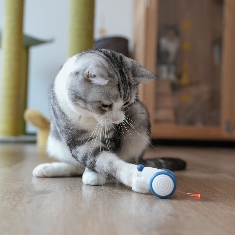 七布宠物猫咪玩具电动老鼠撸猫解闷神器自动逗猫棒喵星人智能宠物-图2