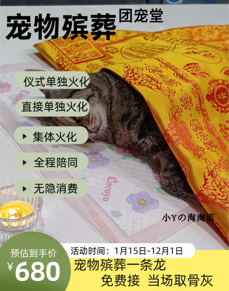 广州宠物火化猫咪狗狗动物殡葬火葬善终安乐服务24小时-图0