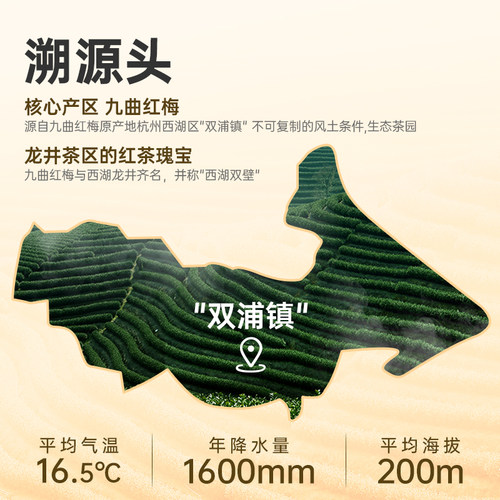 狮峰牌九曲红梅茶杭州特产龙井红茶优选特级原产地正宗工夫红茶叶 - 图0