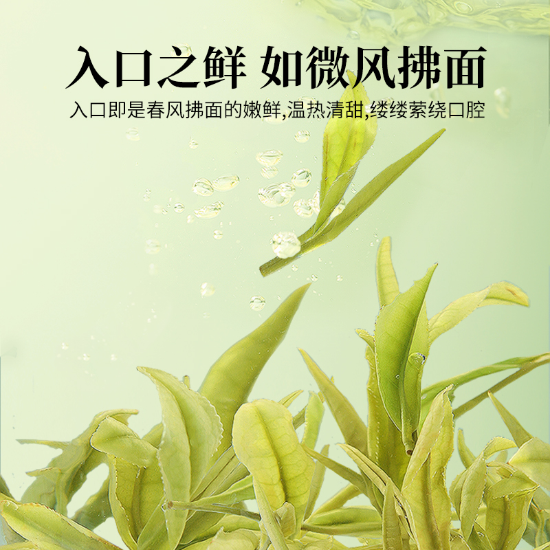 2024新茶安吉珍鲜白茶狮峰牌明前特级白茶叶正宗珍稀绿茶春茶散装