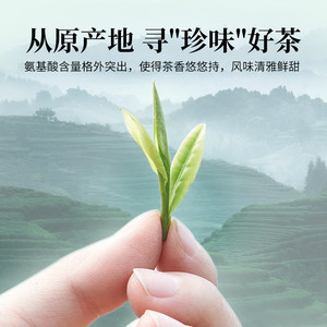 2024新茶上市安吉白茶狮峰牌明前特级白茶叶正宗珍稀绿茶春茶散装