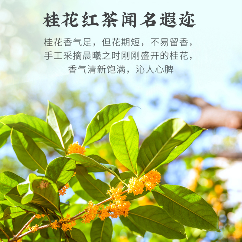 狮峰牌桂花红茶杭州特产九曲红梅茶叶正宗浓香50g*3罐官方旗舰店,淘宝优惠券,粉丝福利购,淘宝优惠卷