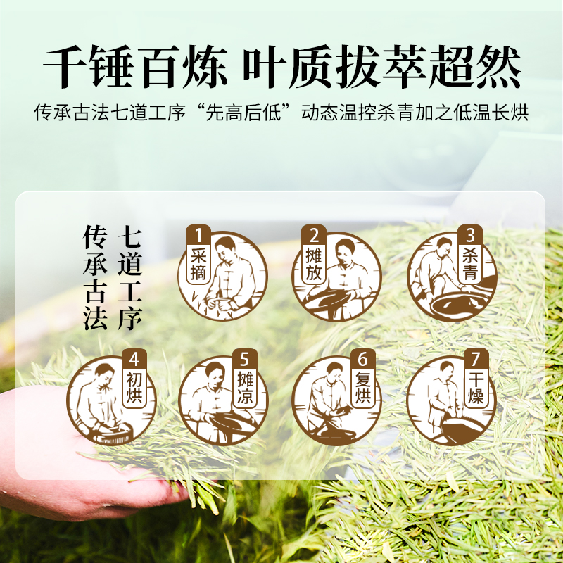 2024新茶狮峰牌安吉白茶雨前一级绿茶正宗茶叶绿茶罐装官方旗舰店 - 图2