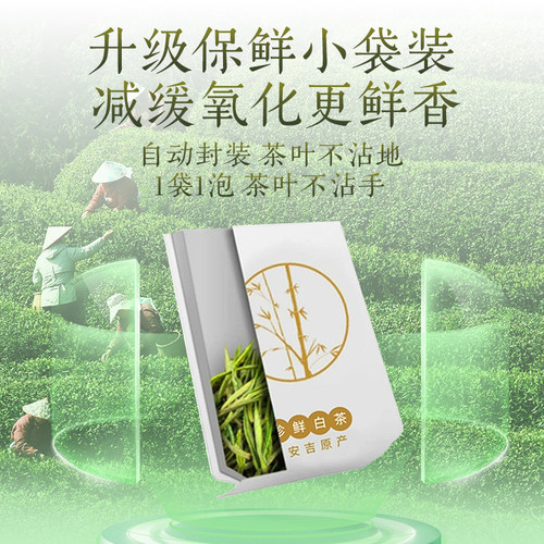 安吉珍鲜奶白茶2026新茶狮峰牌明前特级正品绿茶叶独立小袋冷泡茶 - 图3