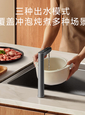 小米米家富矿净水器家用厨下式