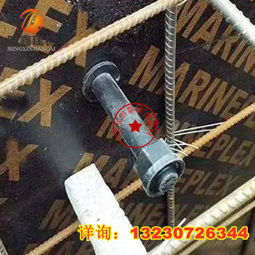 工地脚手架连墙筋预埋件 拉结杆外架连墙件 拉杆预埋件外墙拉杆 - 图2