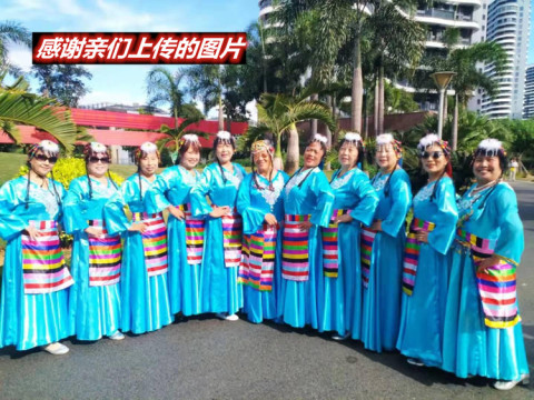 西藏藏装藏式藏族配饰民族风女士头花头饰头发箍发夹饰品