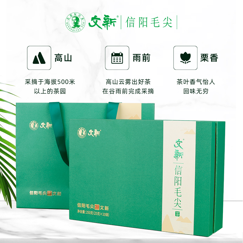 春茶上市文新信阳毛尖高山绿茶茶叶2024新茶雨前特级礼盒装250g - 图0