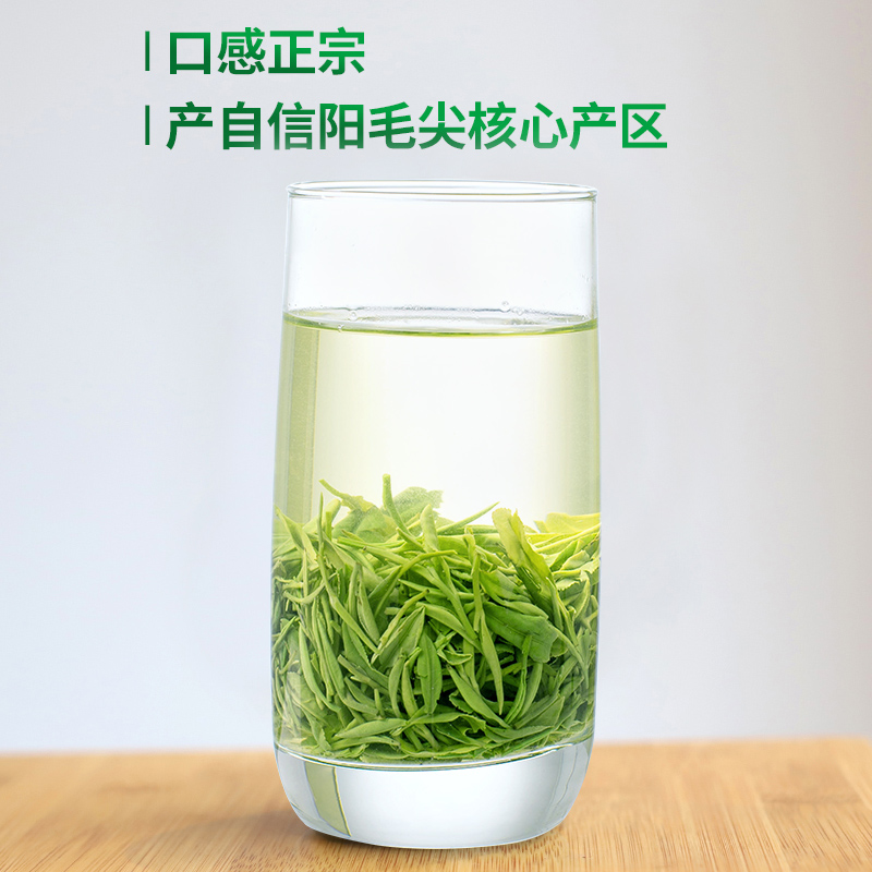 春茶上市文新信阳毛尖绿茶2024新茶茶叶雨前嫩芽叶放心好茶200g-图1