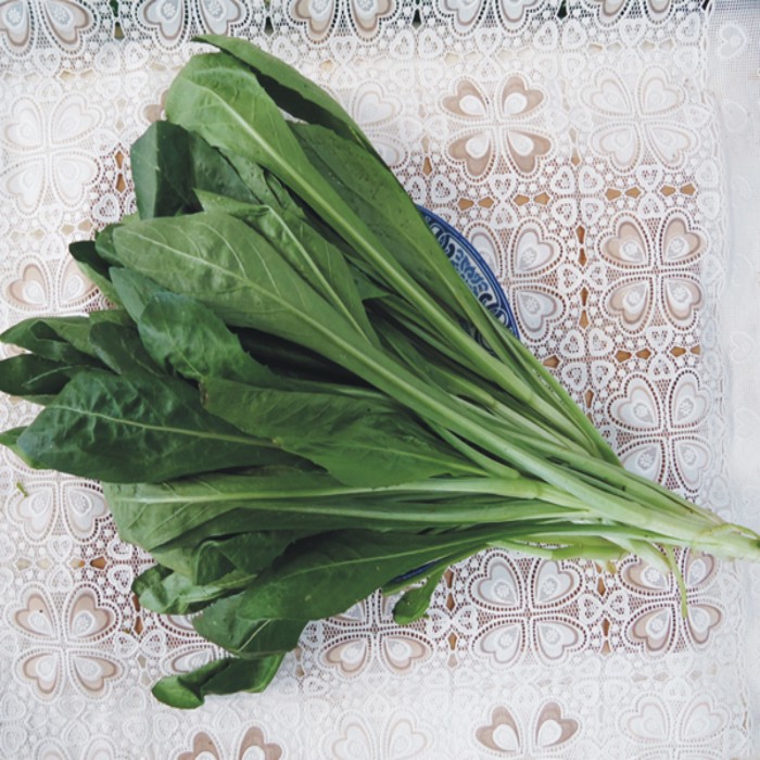 1公斤云南新鲜藏红花菜产地低价直销欢迎餐厅选购野菜蔬菜-图1