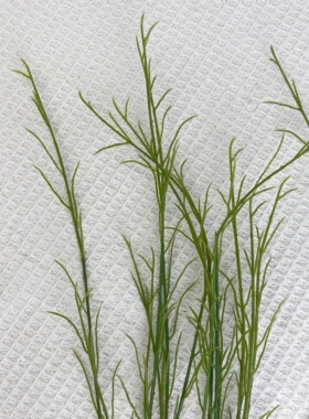仿真假树叶问荆叶梭梭草叶莎草香附沙漠植物博物馆创意工程直销