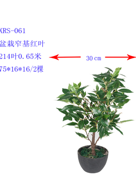 新品仿真植物窄基红叶橄榄田园