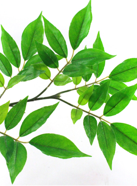 新品仿真植物红枝树叶盆栽