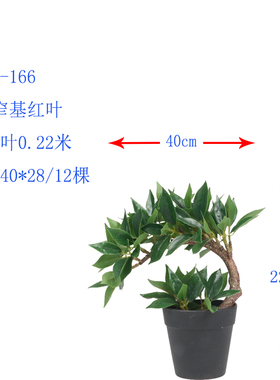 新品仿真植物窄基红叶橄榄田园