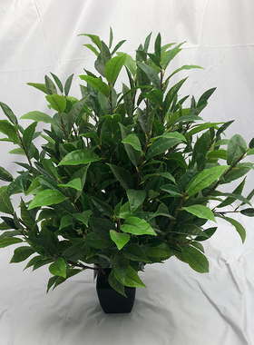 新仿真茶花假树叶落地盆栽盆景毛尖茶叶红茶绿茶DIY装饰摆设直销