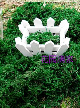 仿真青苔地被植物假花塑料