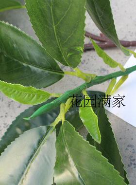 仿真茶花假树叶3叉枝贵定云雾茶叶绿茶红茶DIY屏风装饰摆设直销