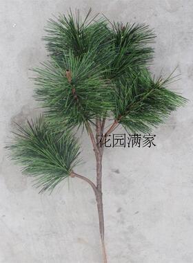 松树枝带果5头电信搭配厂家直销