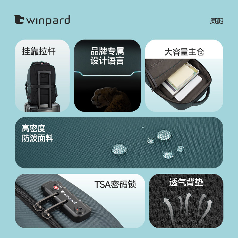 图 5