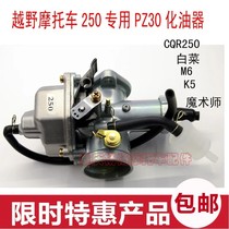 CQR250 Garning-Chinese cabbage magicians motocross motorcycle 250 engine special racing PZ30 carburetor