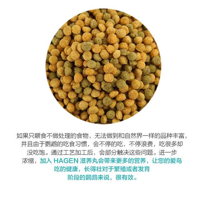 Small grain parrot daily nourishing pill Hagen Harry