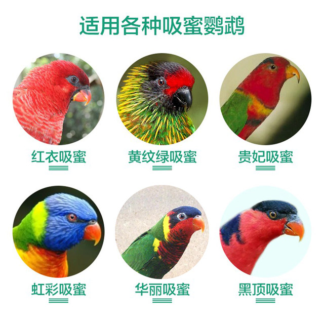 Versailles imported nutritious bird food for parrots