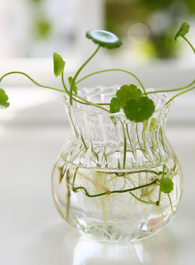 透明水养植物创意装饰玻璃花瓶