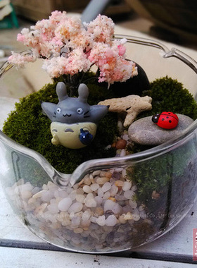 透明玻璃吊瓶创意多肉微景观DIY