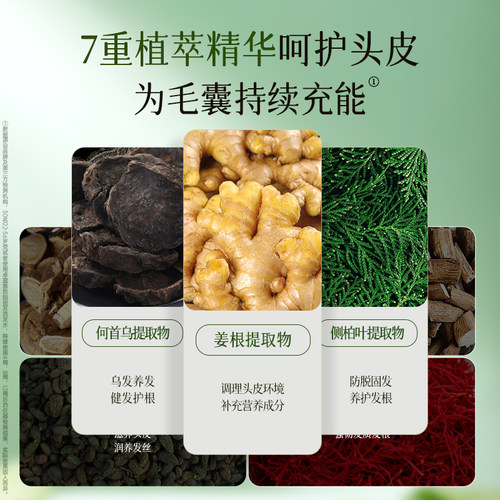 卓蓝雅生姜防脱固发头皮洗发水去屑蓬松控油滋养修护清洗头膏正品 - 图2