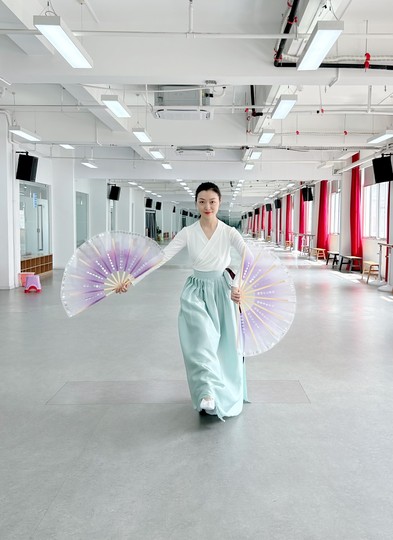 朝鲜族舞蹈扇子韩国舞蹈扇子跳舞扇子透明纱扇子烫金扇子