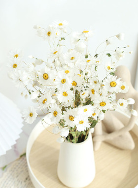 赞花村鲁丹鸟小清新罗丹斯真花