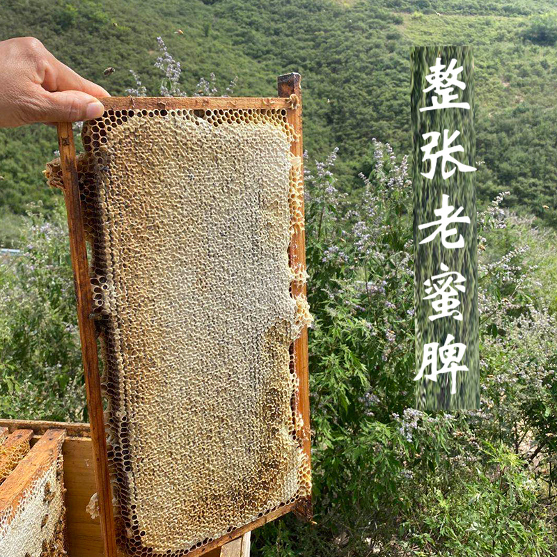 蜂巢蜜 整张大块蜜脾大块蜂巢老巢脾喂蜜蜂繁殖饲养原框蜜脾礼盒 - 图1