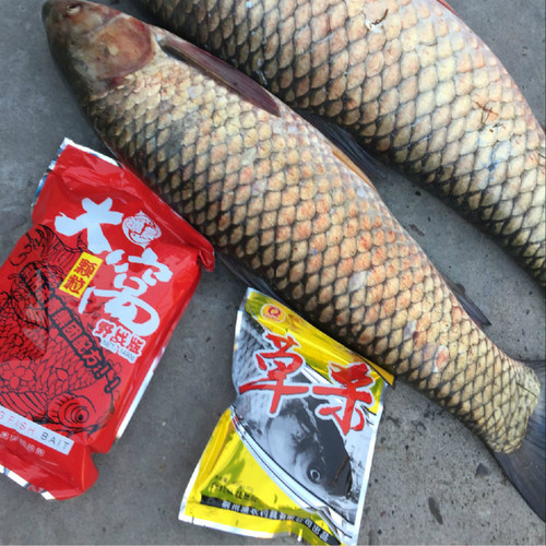 渔农青草鲤鳊鲫通杀鱼饵巨物大青黑坑水库野战湖泊钓鱼饵满就包邮 - 图2