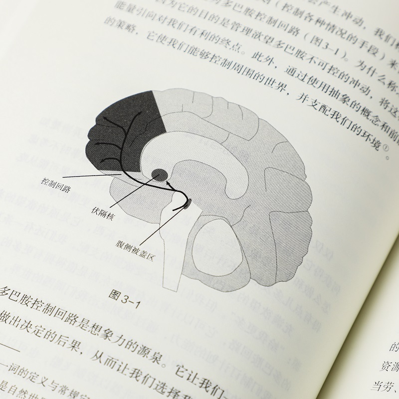 【rainie推荐】贪婪的多巴胺 包邮 丹尼尔利伯曼著 脑科学家大卫伊格曼推荐 新世代独立图书奖 讲述多巴胺如何写就人类未来 中信 - 图3