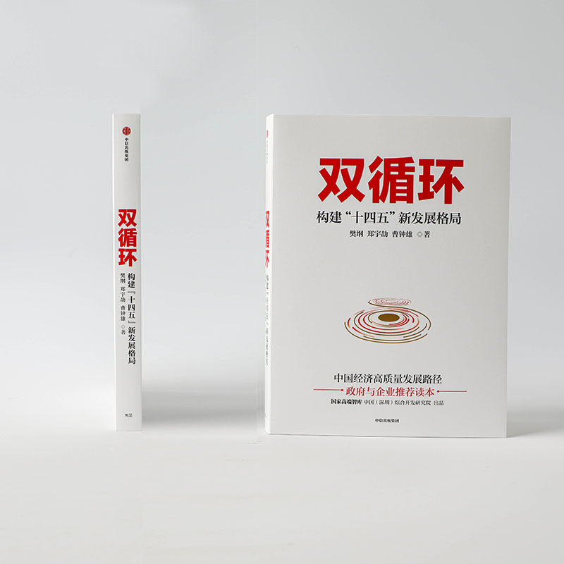 双循环 樊纲 构建十四五新发展格局 樊纲 著 包邮 经济理论 新发展格局 读懂十四五 中信正版 - 图1